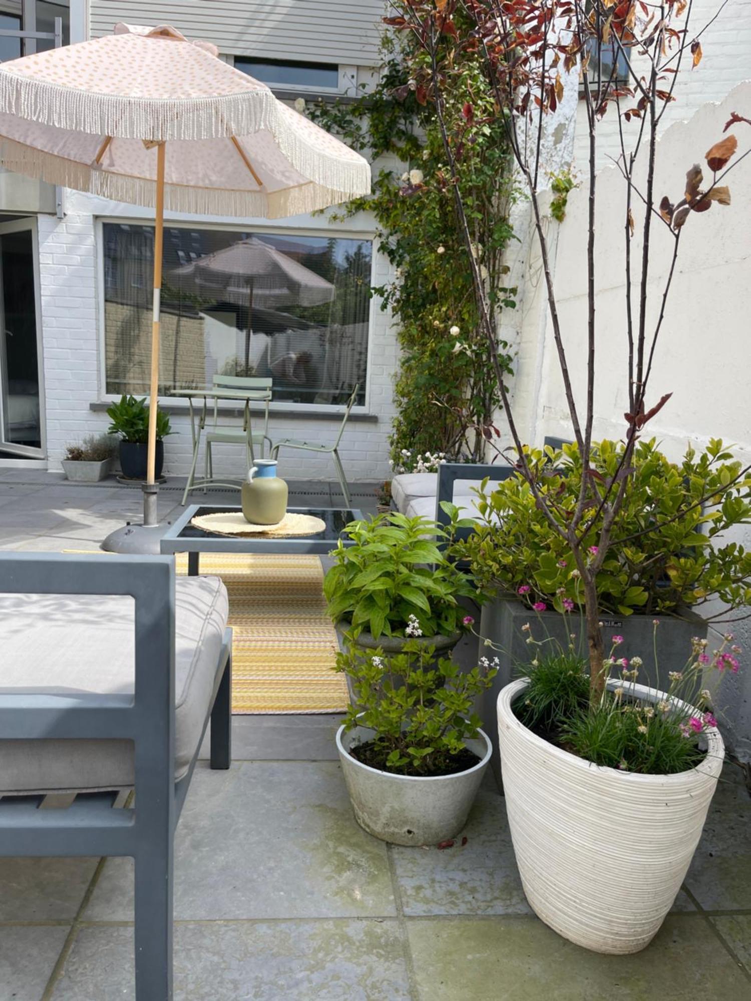 Guesthouse Poppies , Free Parking Остенде Екстериор снимка